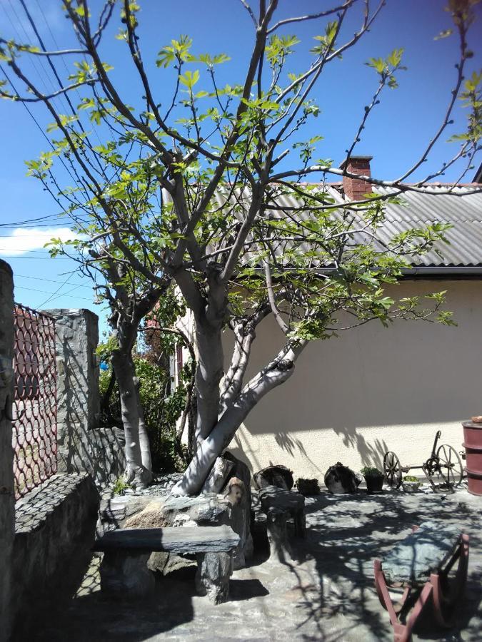 Pinkum Veliko Gradiste